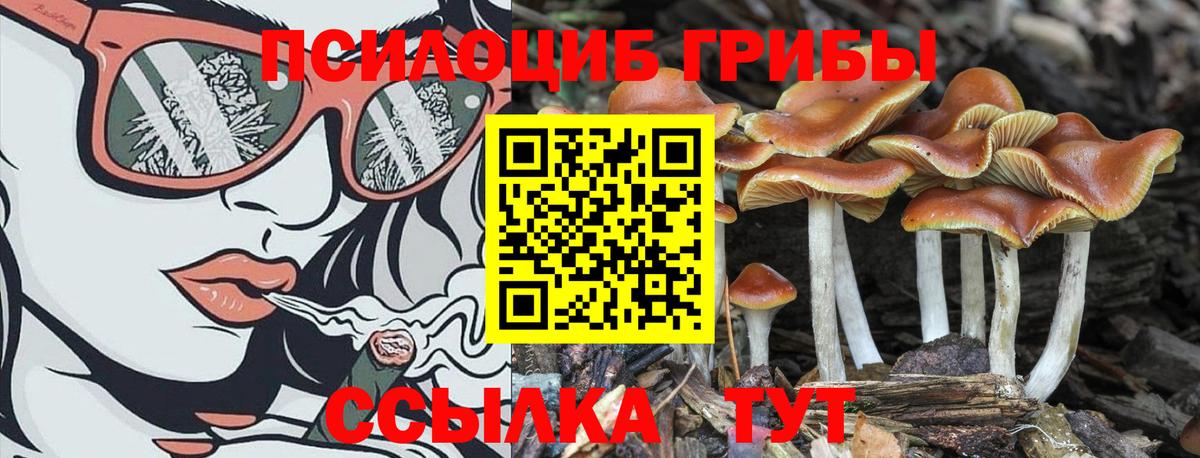 Галлюциногенные грибы Cubensis  Вход с VPN  Лянтор 